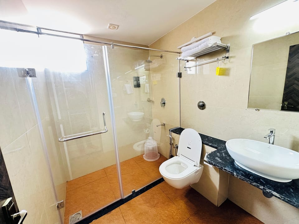 Shower, free toiletries, bidet, towels