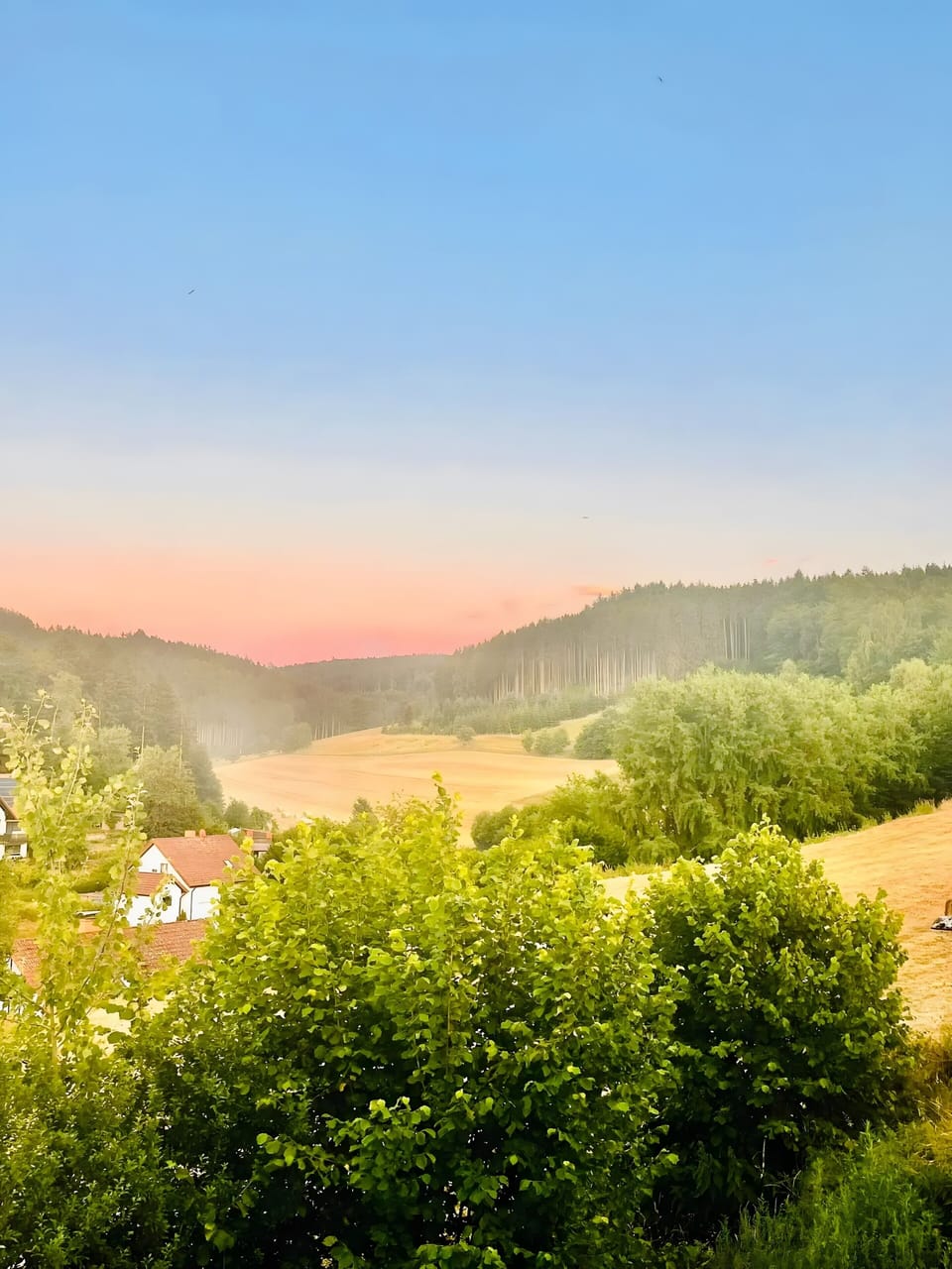 Miscellaneous