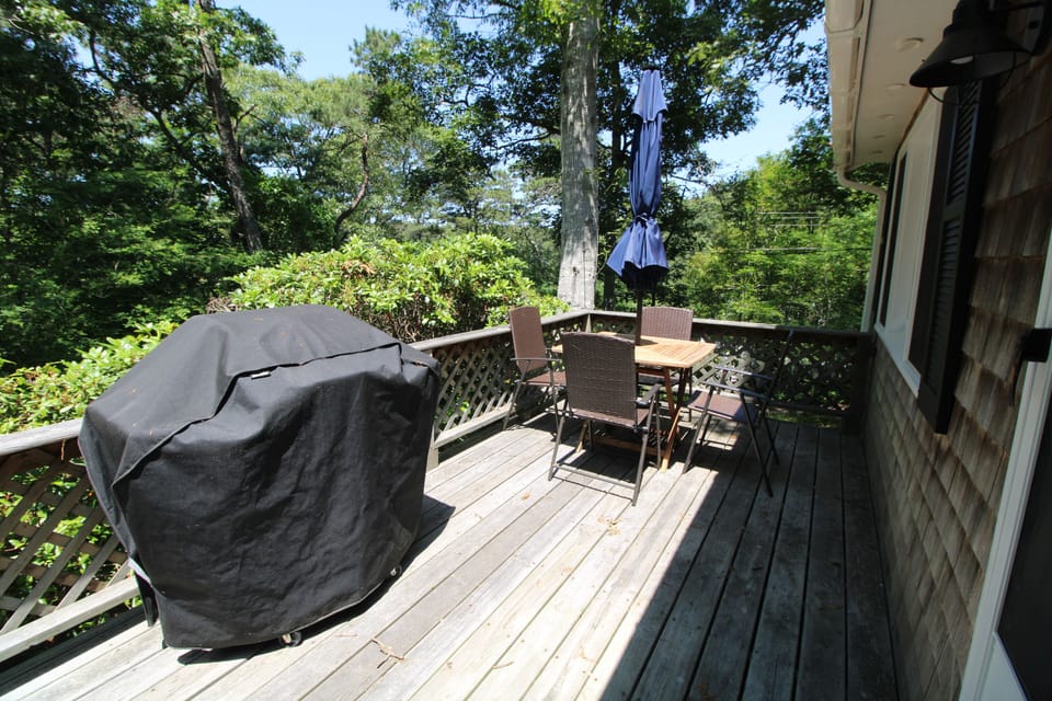 Back Deck