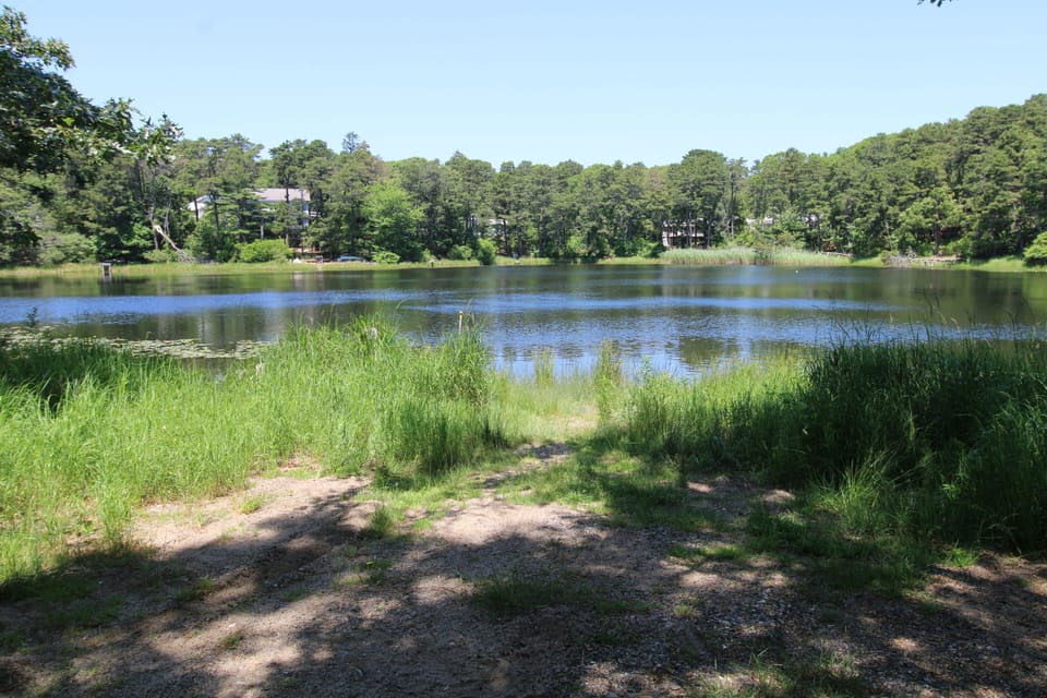 Molls Pond