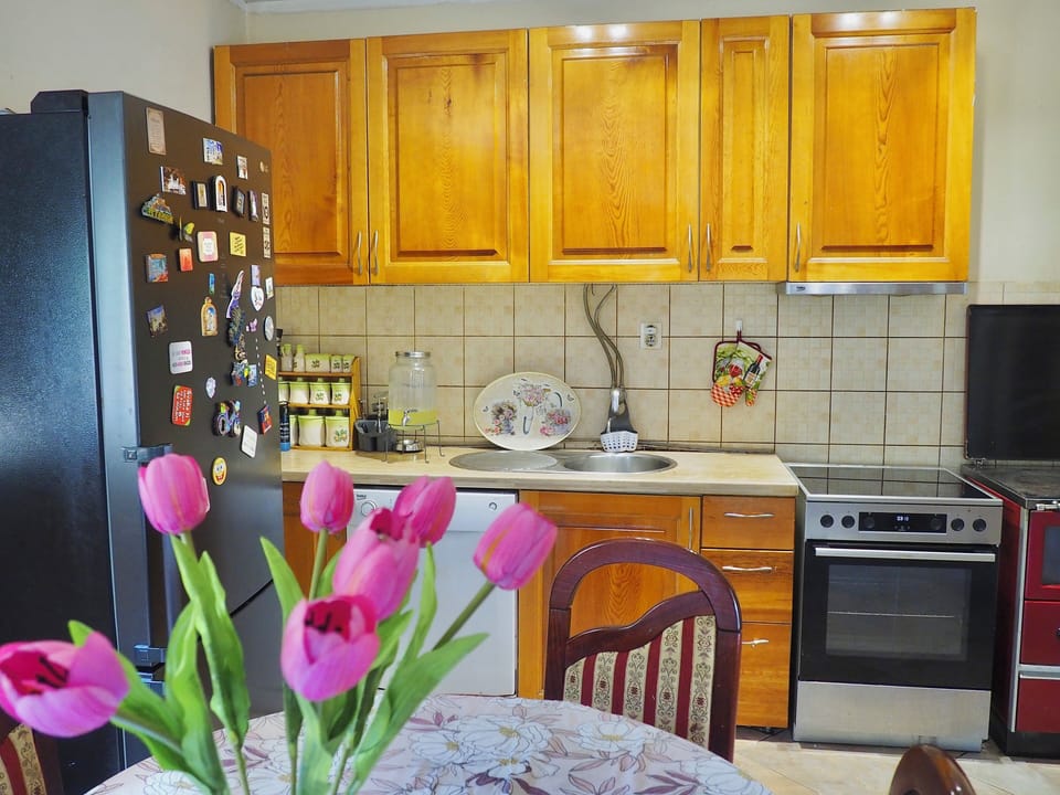 Classic Villa, Garden View | Private kitchen