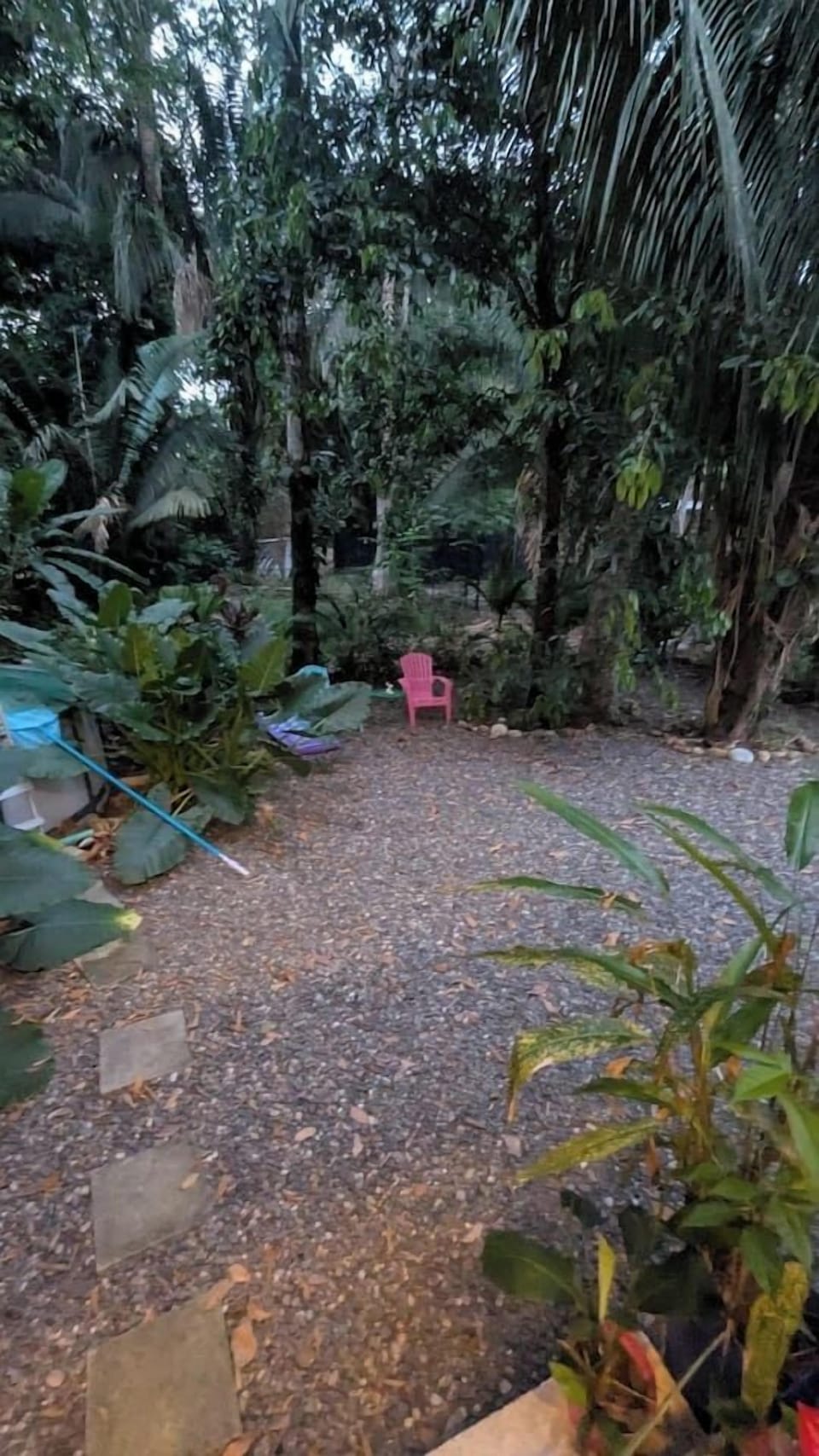 Another backyard view.