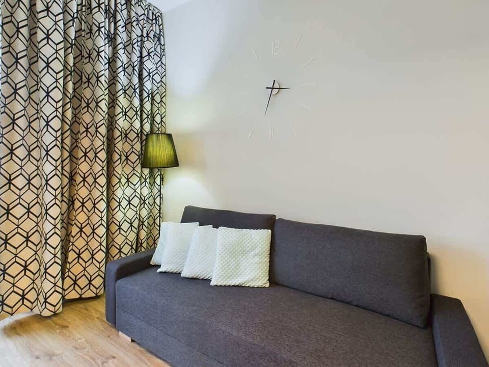 Comfortable sofa bed in the studio
