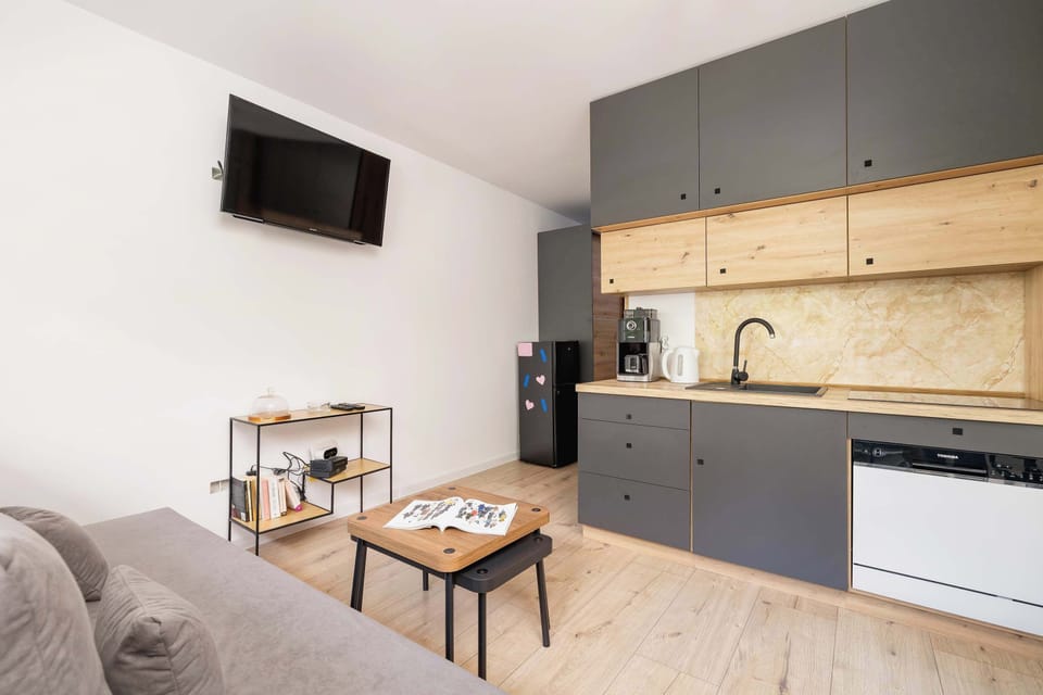 Living room with a sofa bed, TV and kitchenette.