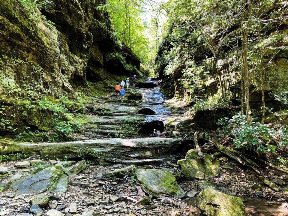 Explore the Shawnee National Forest and State Parks