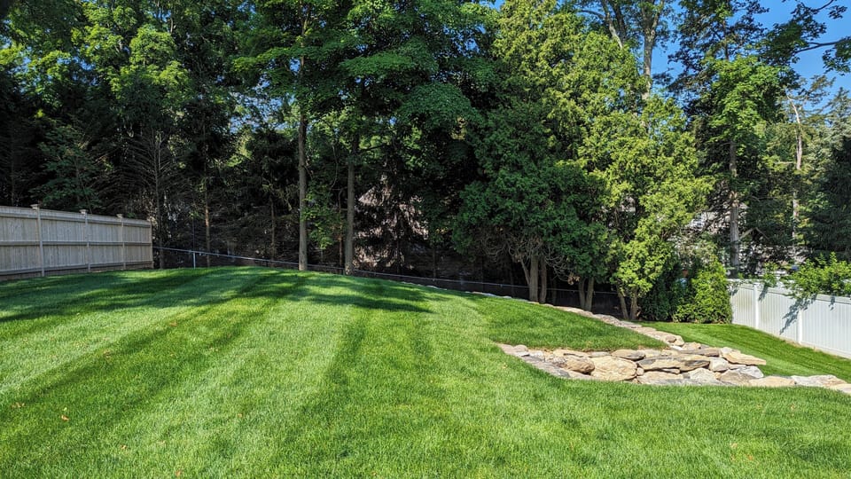 Landscaped back yard with room to play and trampoline (not pictured).