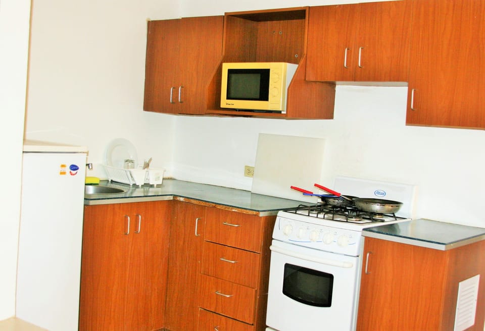 Deluxe Apartment, 1 King Bed | Private kitchenette | Electric kettle