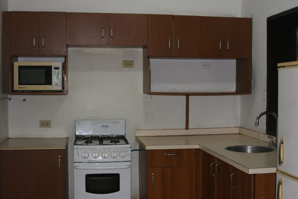 Deluxe Apartment, 1 King Bed | Private kitchen | Electric kettle