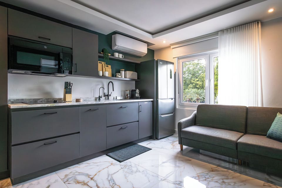 Apartment, 1 King Bed with Sofa bed, Non Smoking, Kitchen | Private kitchen | Toaster
