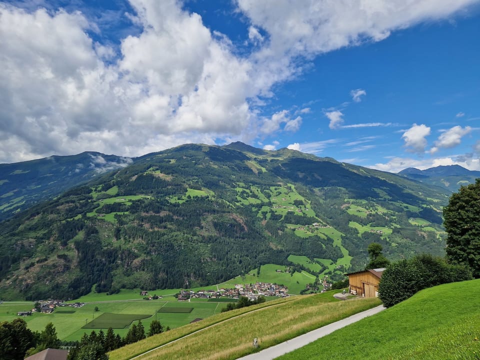 View