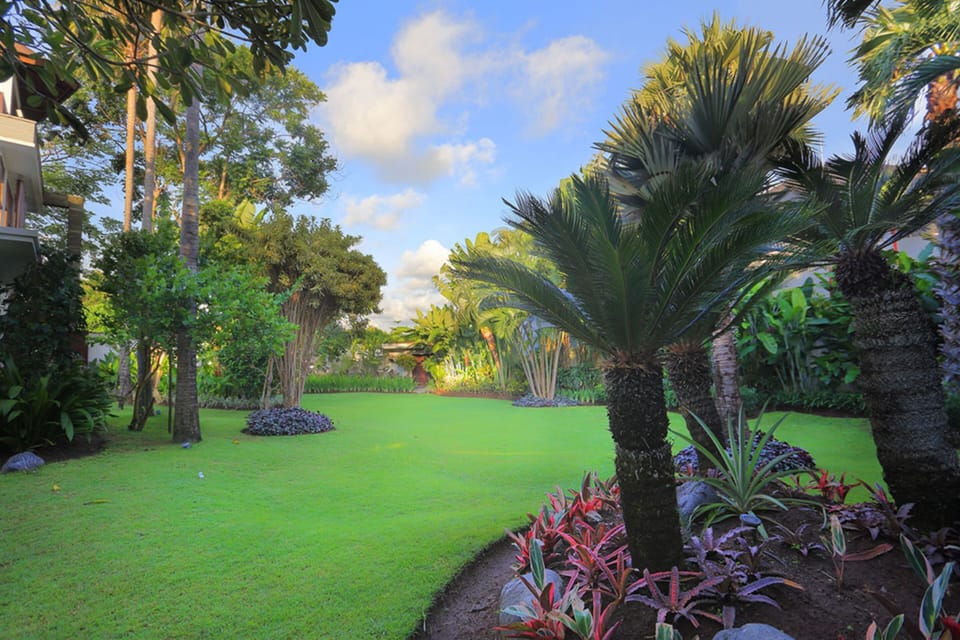 Basic Villa | Property grounds