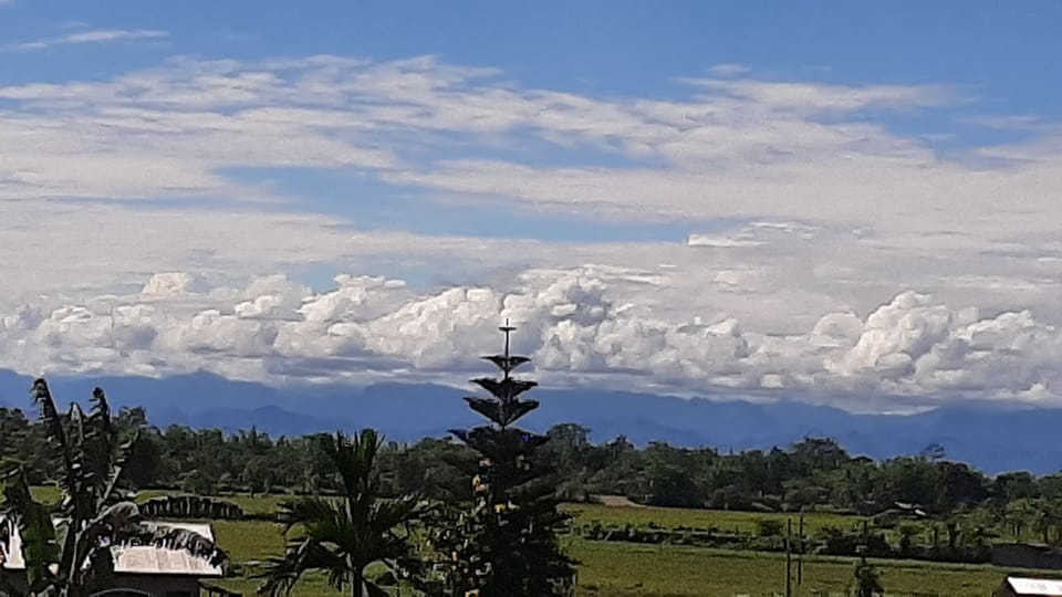 Views from Balcony