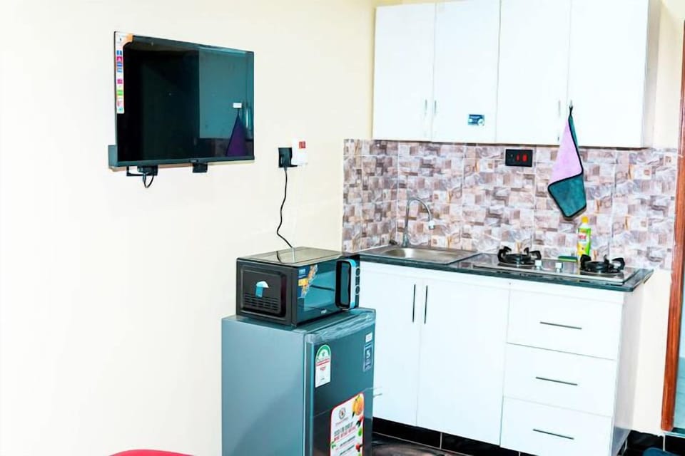 Classic Apartment, Lake View | Private kitchen | Fridge, microwave, cookware/dishes/utensils