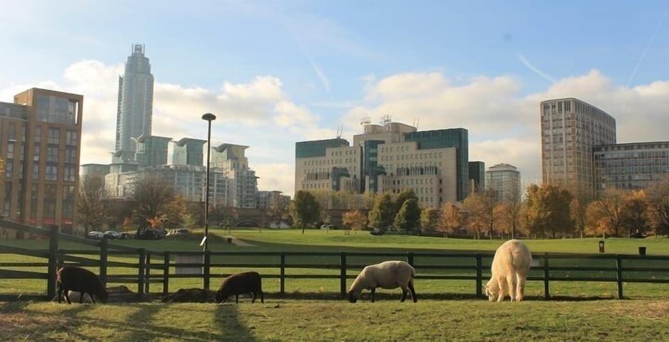 Vauxhall City Farm (0.6 miles / 10-min walk)

A hidden gem and great for kids—interact with animals, enjoy a bite at the café, or explore the community gardens.
