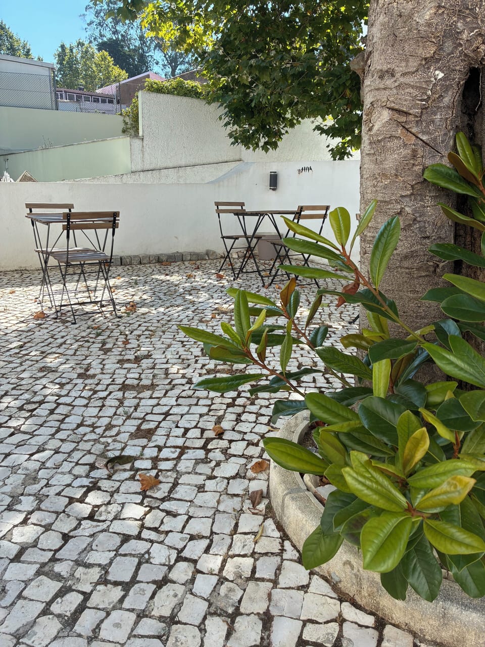 Sintra Flower Vintage Chalet Bed and Breakfast in Sintra