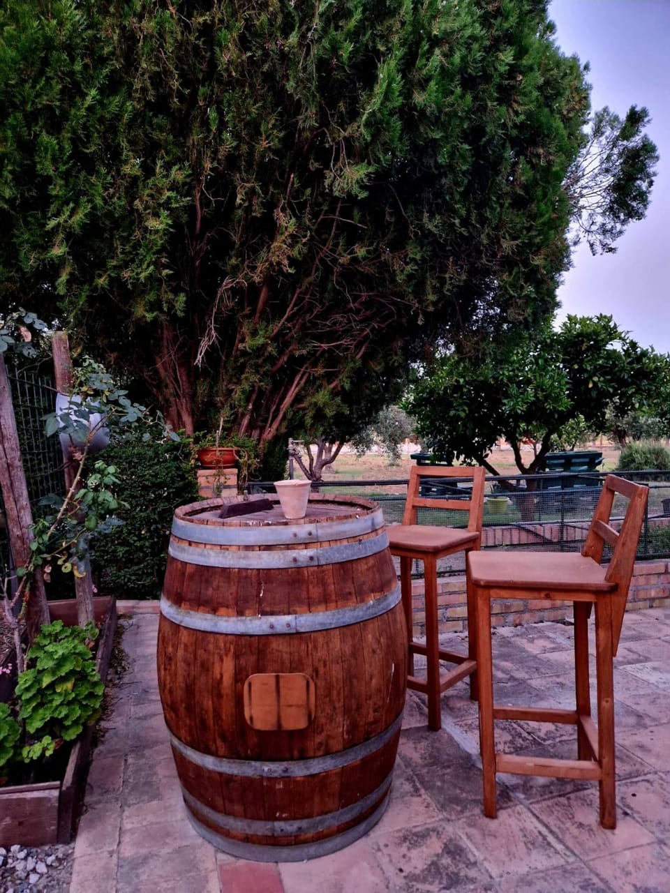 Terrace/patio