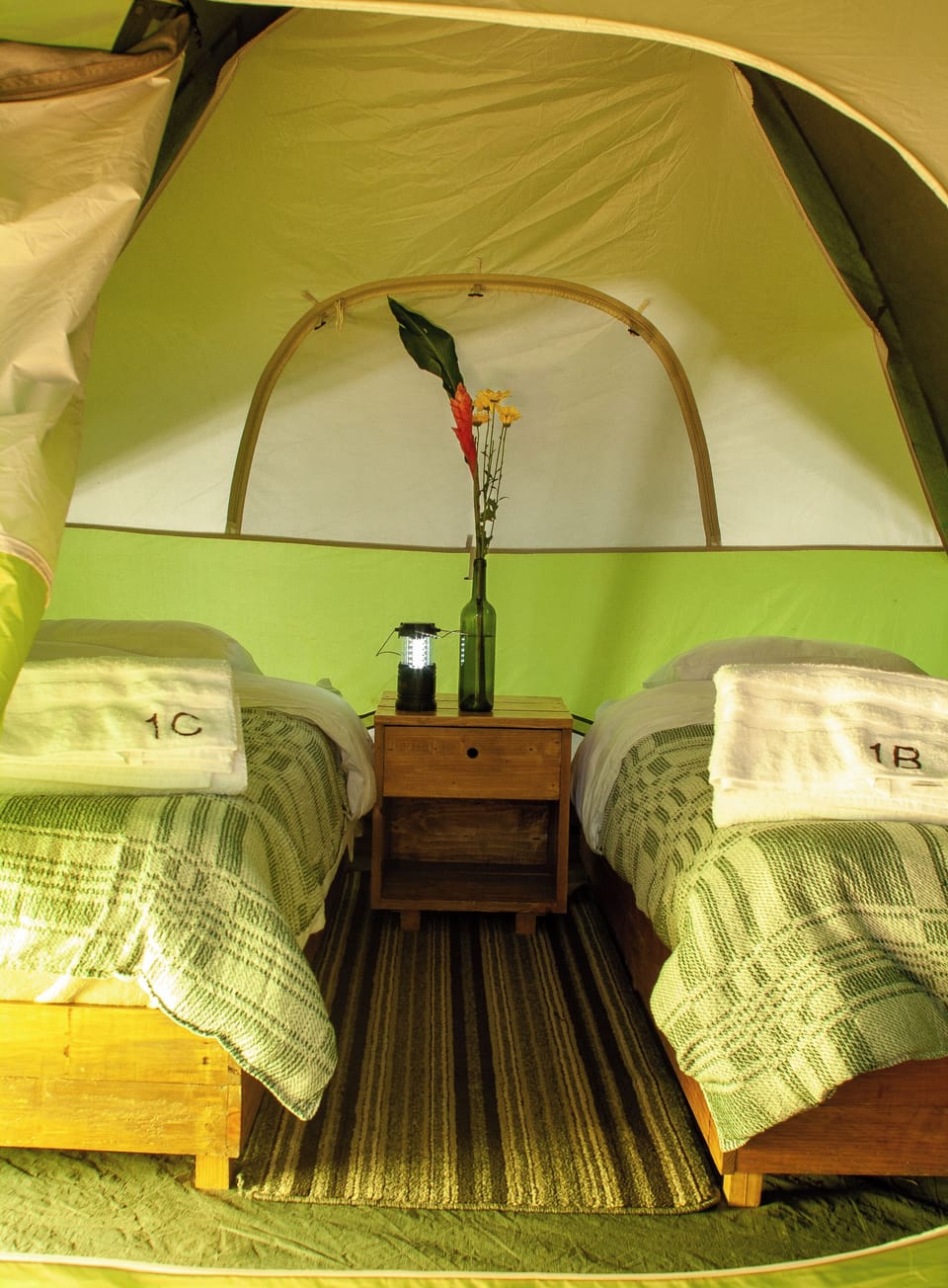 Comfort Double Room, Mountain View | Frette Italian sheets, premium bedding, down comforters, bed sheets
