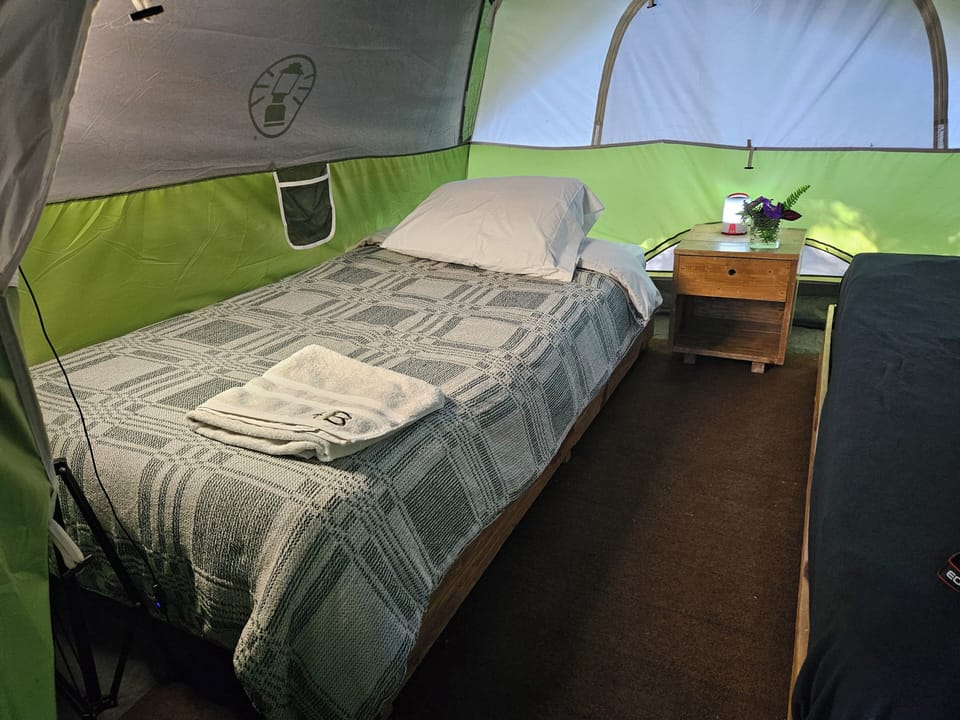 Comfort Double Room, Mountain View | Frette Italian sheets, premium bedding, down comforters, bed sheets