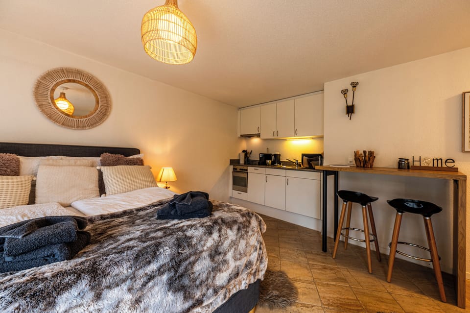 Studio, Mountain View | Soundproofing, free WiFi