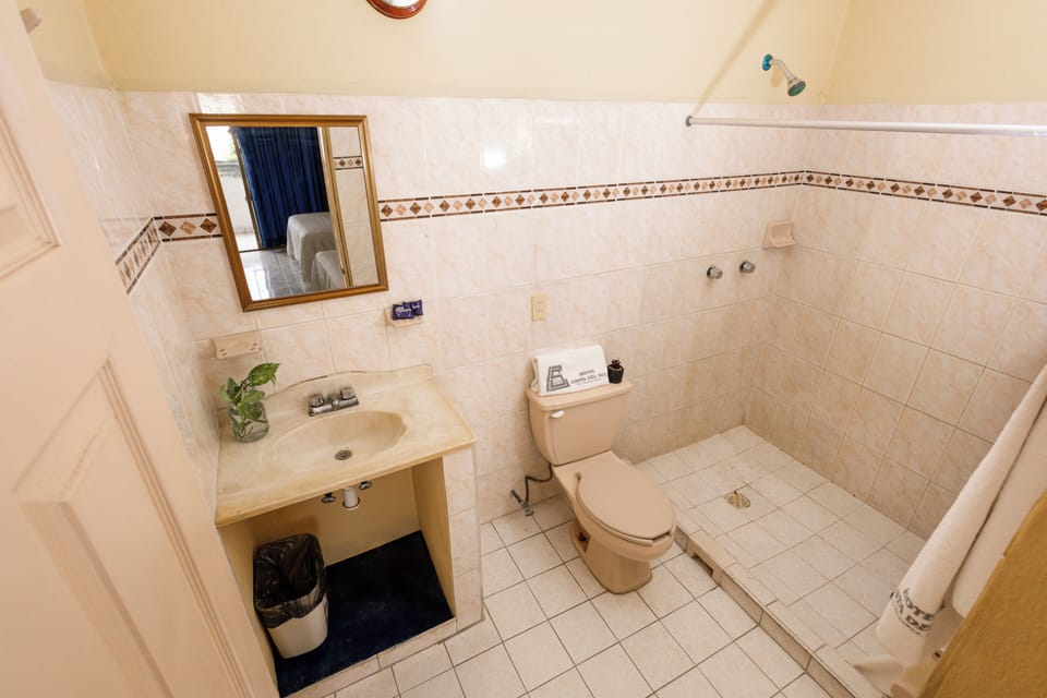 Standard Room | Bathroom