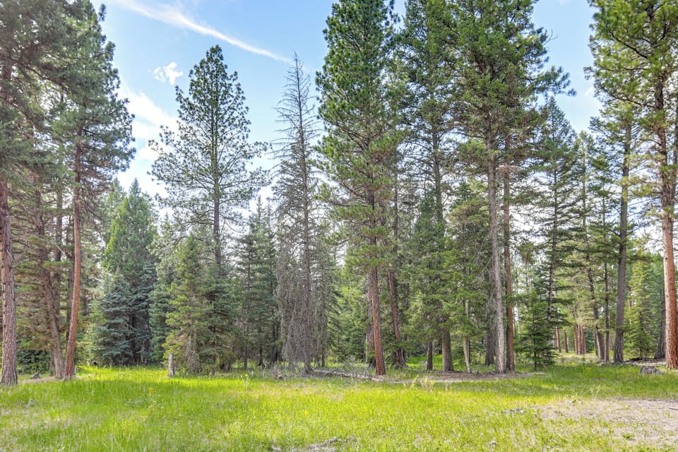 Wooded Location