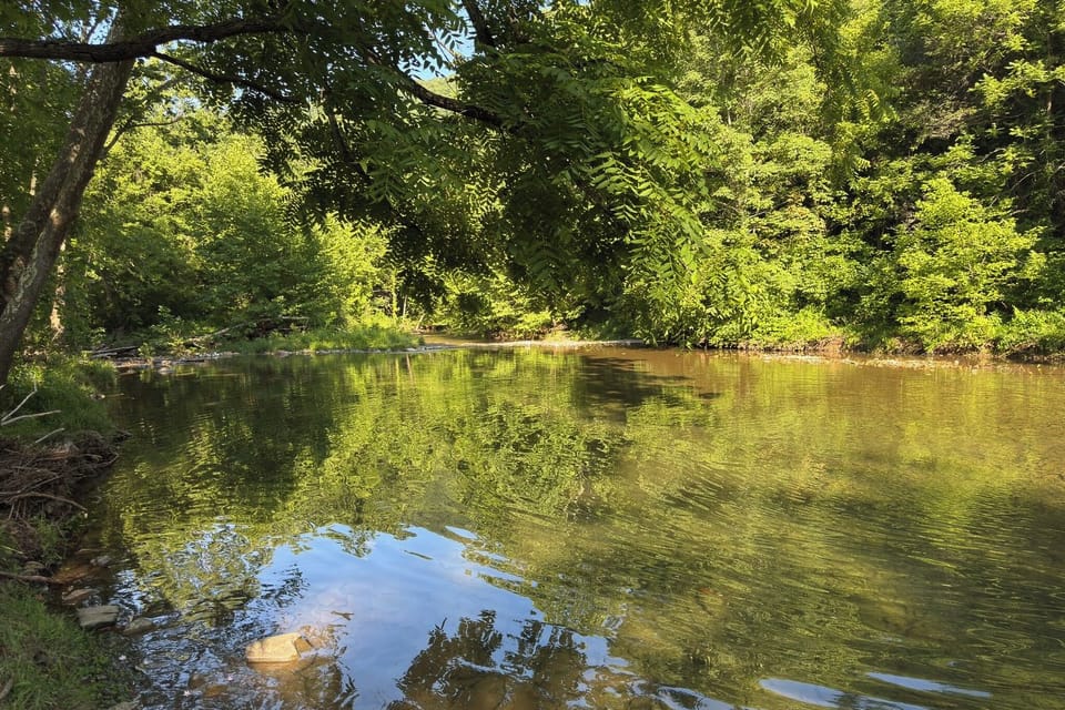 Walk to Dunlap Creek