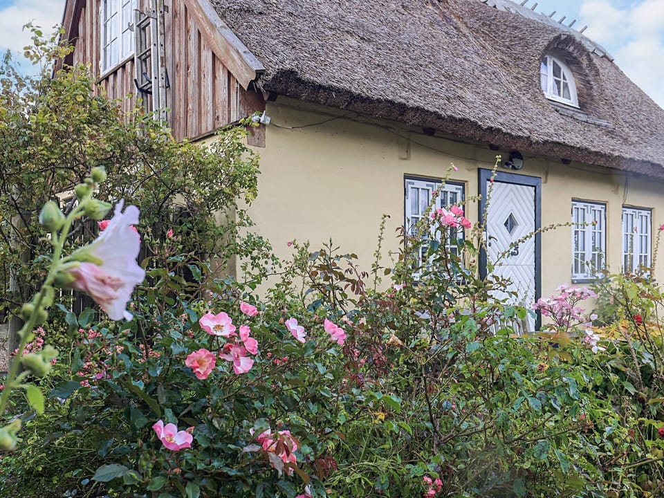 House | View from property