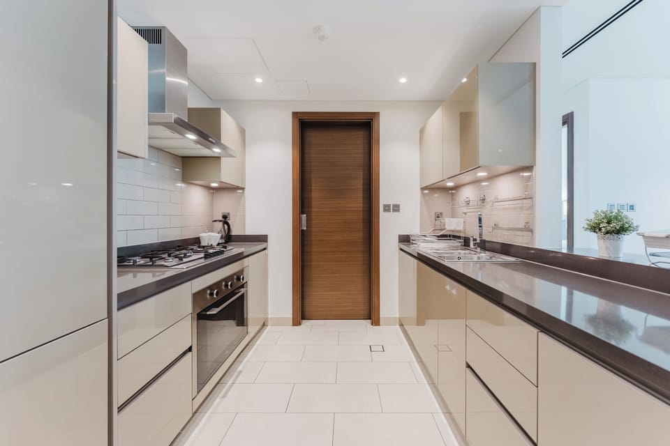 Exclusive Apartment, Balcony, City View | Private kitchen | Full-size fridge, microwave, oven, stovetop