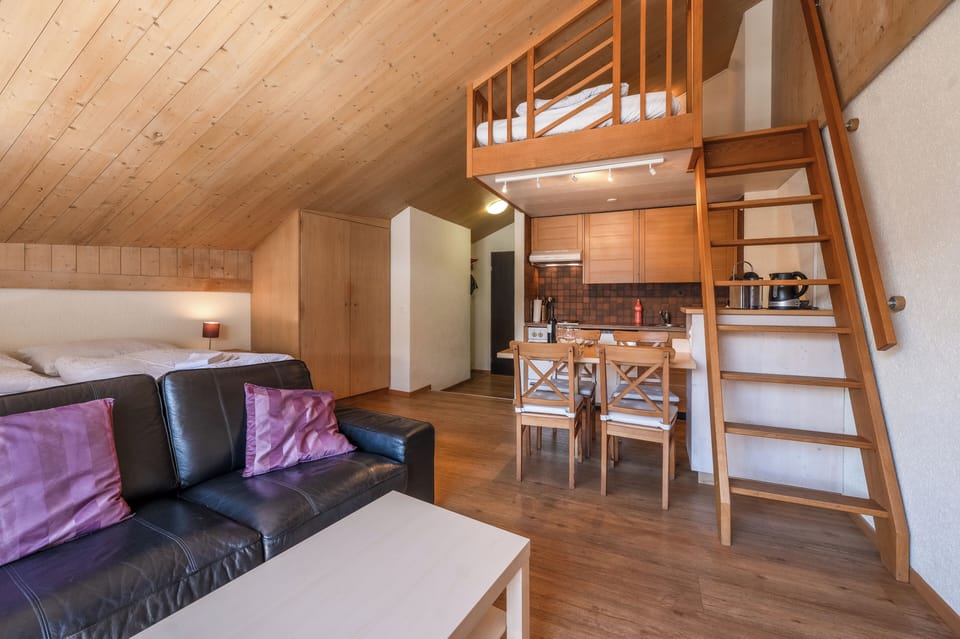 Basic Apartment, Balcony, Mountain View | Living area