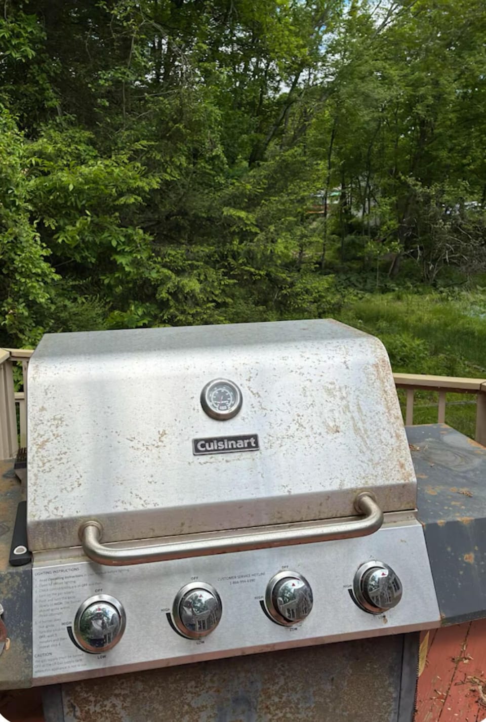 Barbecue fun