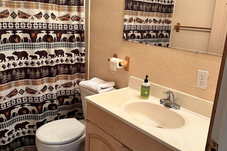 Full bathroom with sink, toilet, and shower. 