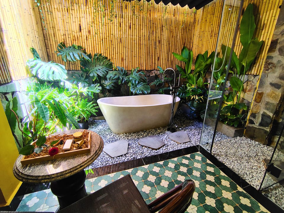Premium Double Room, 1 King Bed, Garden Area | Bathroom amenities | Hair dryer, slippers, towels, shampoo