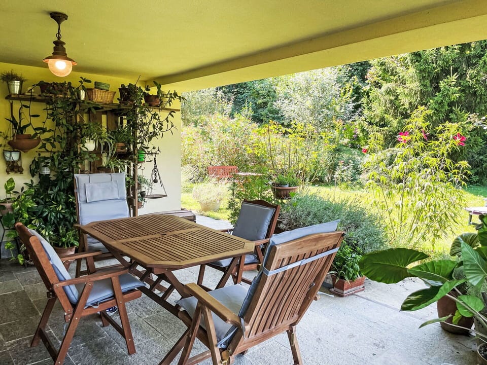 Furniture, Chair, Table, Wood, Outdoor Furniture, Outdoor Table, Flowerpot, Kitchen & Dining Room Table, Shade