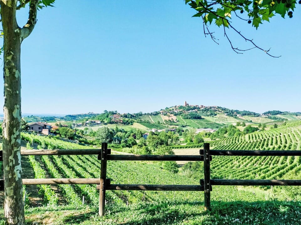 Natural Landscape, Grassland, Landscape, Hill, Land Lot, Fence, Rural Area, Field, Meadow, Pasture