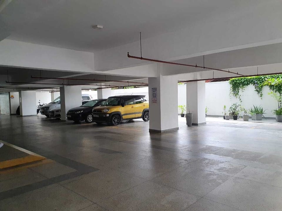 Free self parking