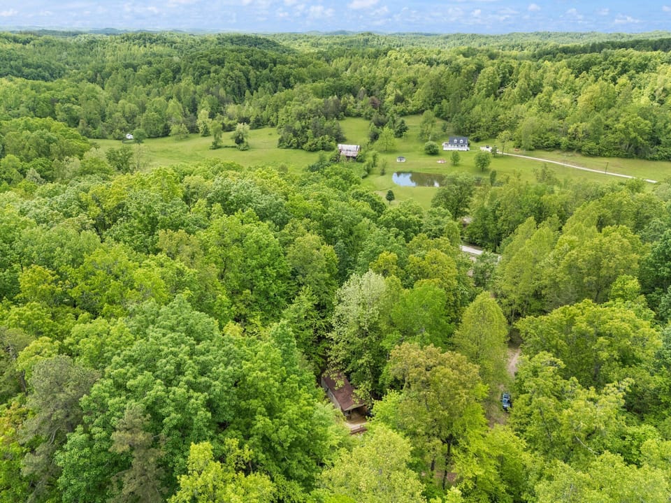 AERIAL VIEW OF THE PROPERTY