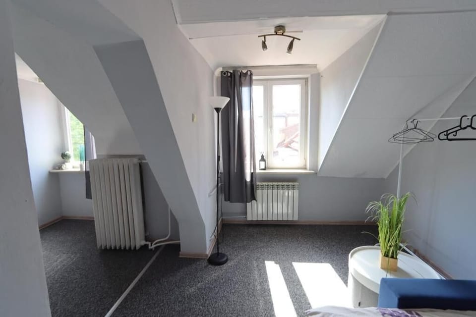 Basic Room | Desk, laptop workspace, iron/ironing board, free WiFi