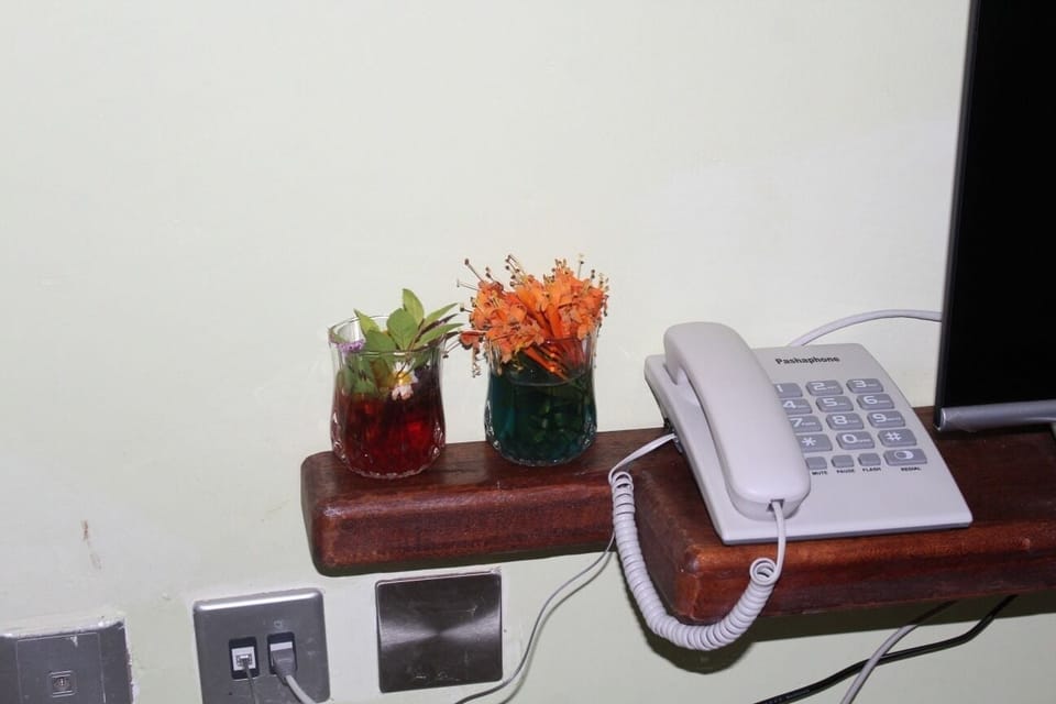 Executive Double Room, Garden View | Free WiFi, bed sheets