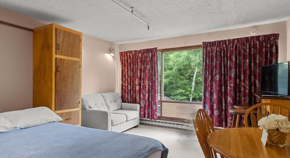 Studio Murphy Bed
