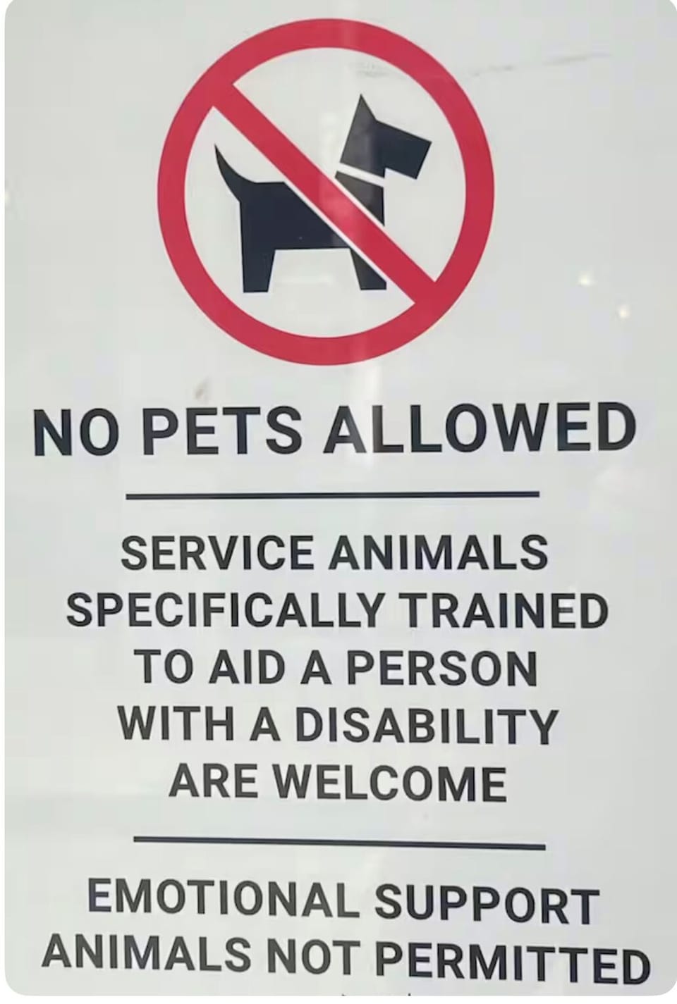 No animals of any kind
