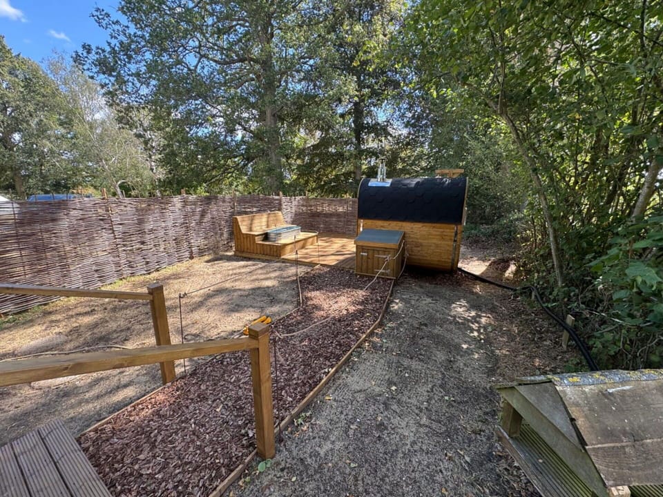 Wood, Garden, Backyard, Fence, Landscaping, Yard, Home Fencing, Hardwood, Walkway, Lumber