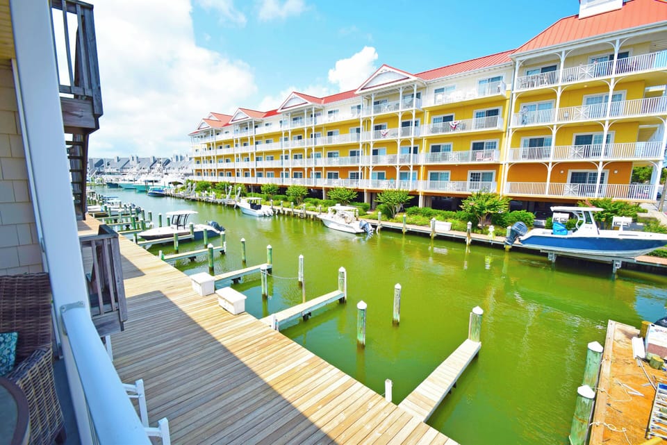 Marina
