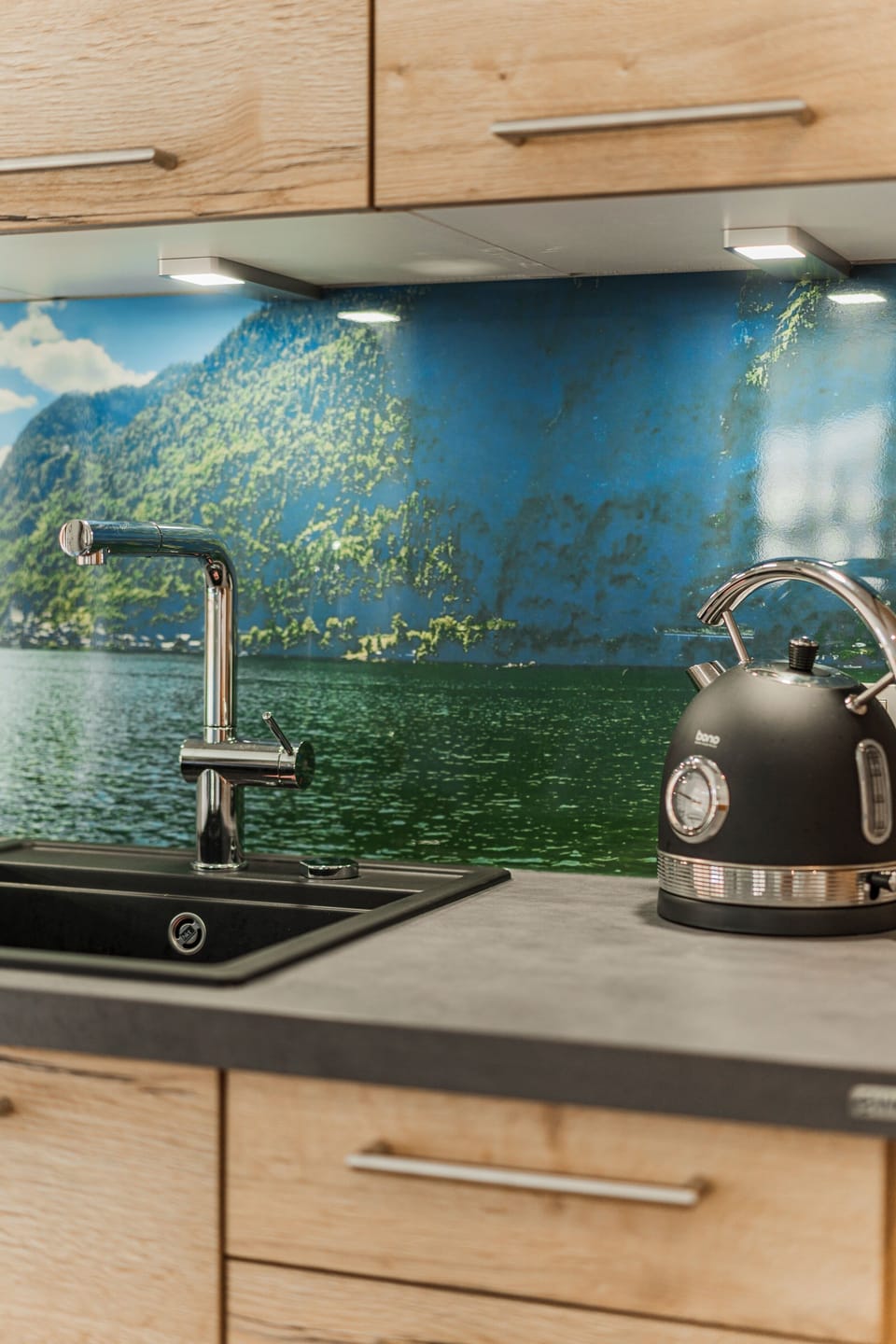 Comfort Apartment, 1 Bedroom, Pets Allowed, Mountain View | Private kitchen | Coffee/tea maker, electric kettle