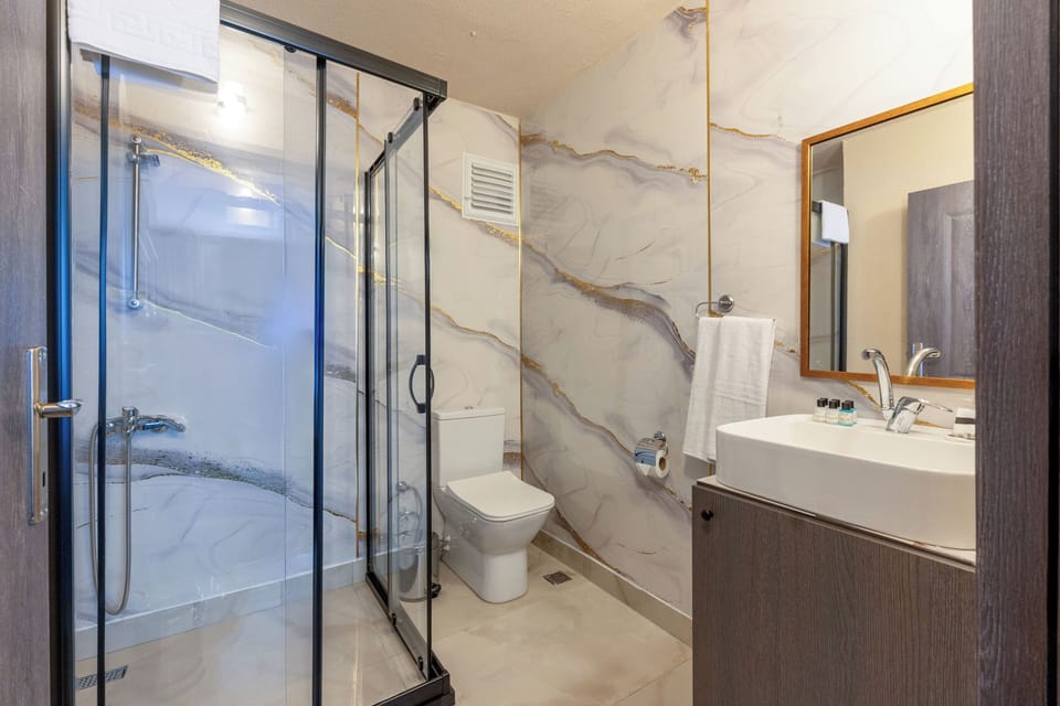 Shower, hair dryer, bidet, towels