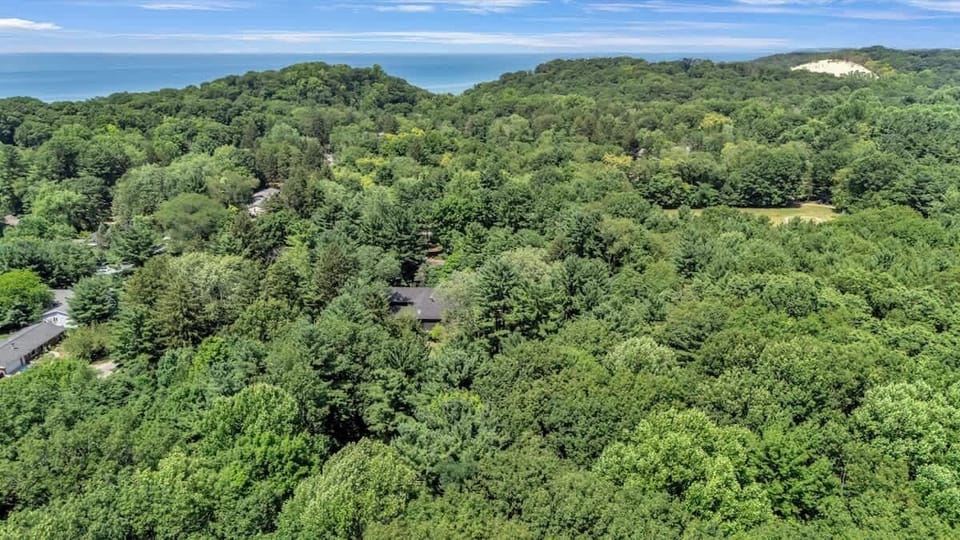Wonderwood Cottage tucked in trees, steps from lake and dunes.