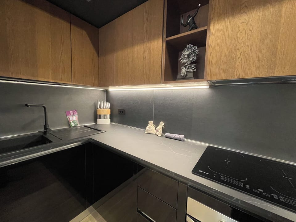 Fully equipped CREO-Kitchen (3)