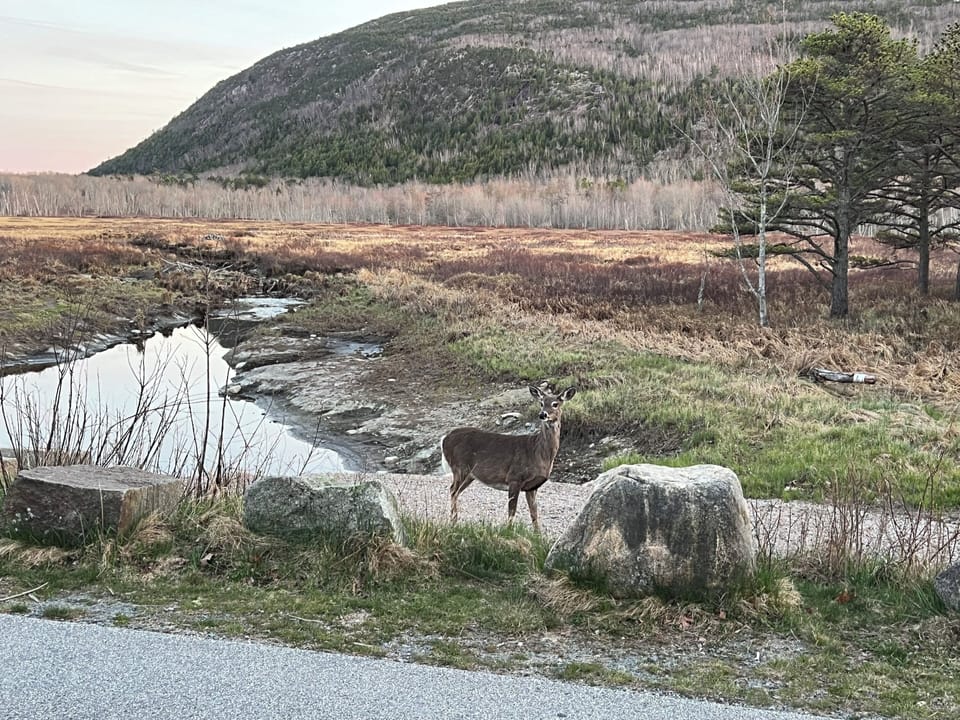 Hiking