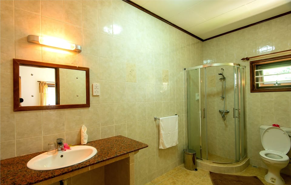 Free toiletries, hair dryer, towels
