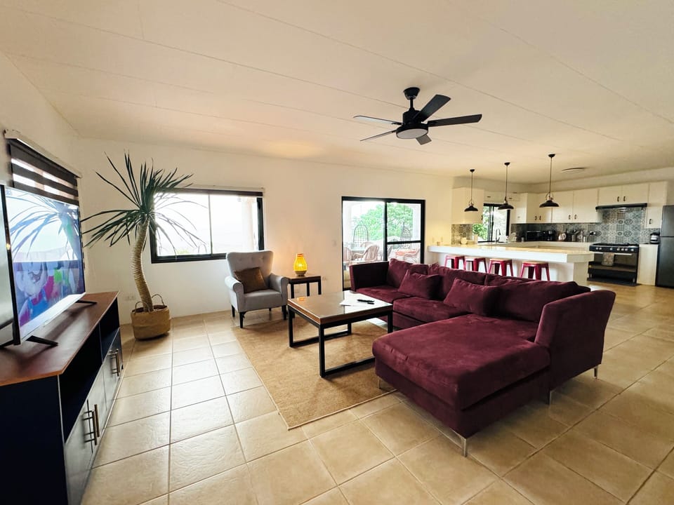 Living room and kitchen open floor lay out