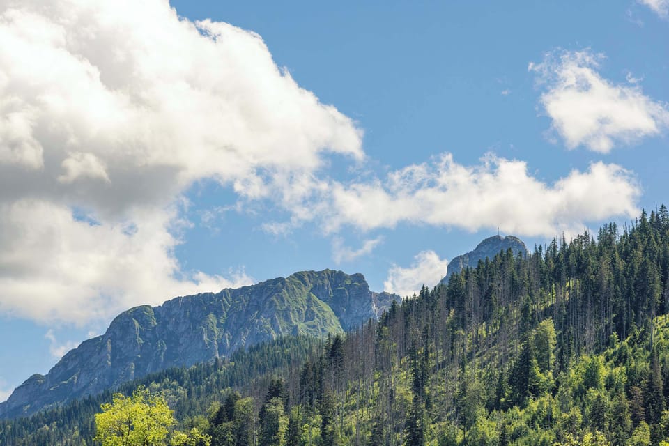  Breathtaking mountain and forest panorama – perfect for relaxing in nature.